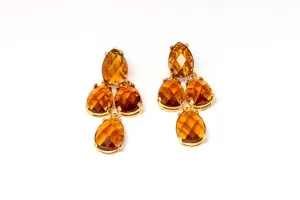 Amber Hanging Earrings