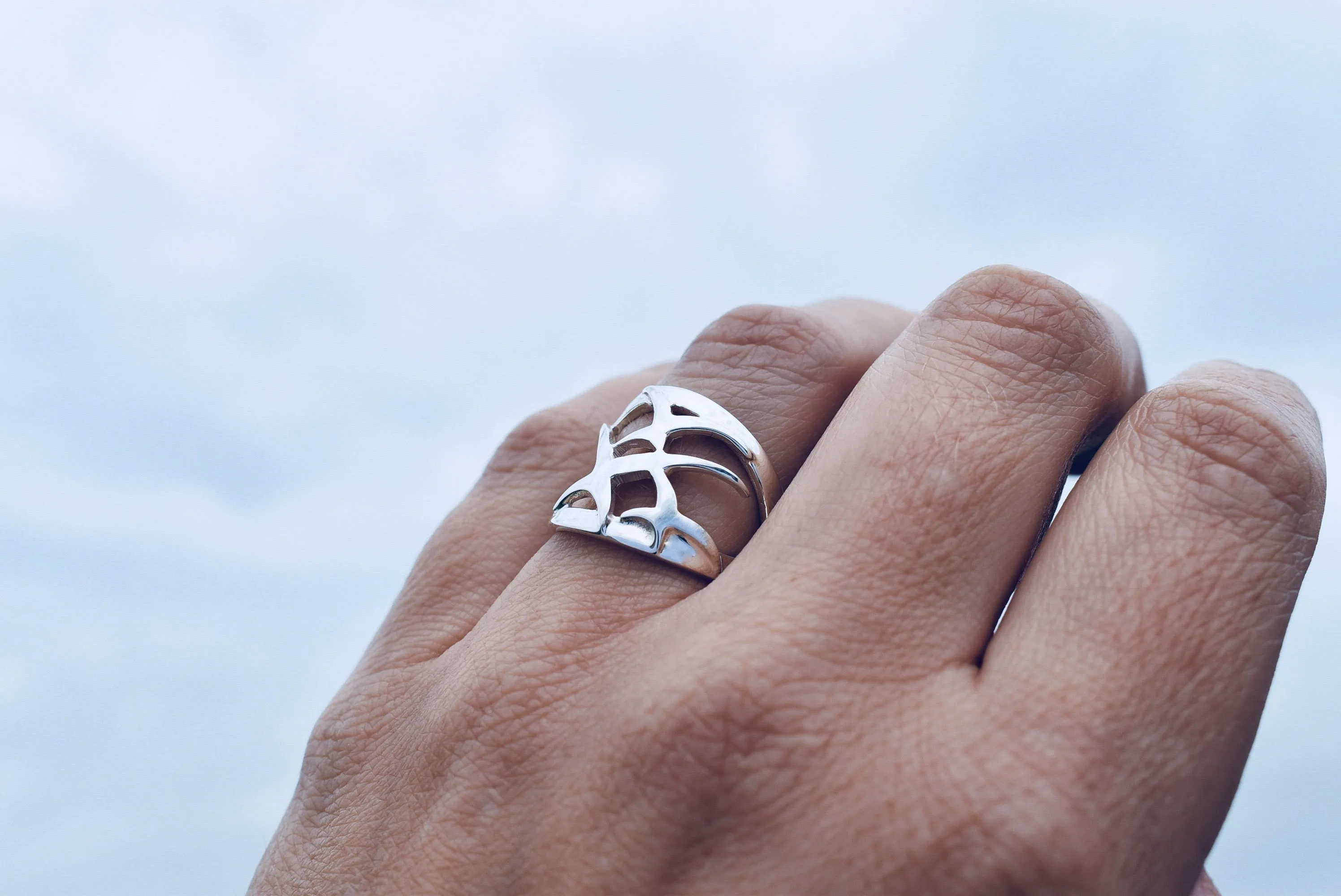 Arctic Tern Large Ring