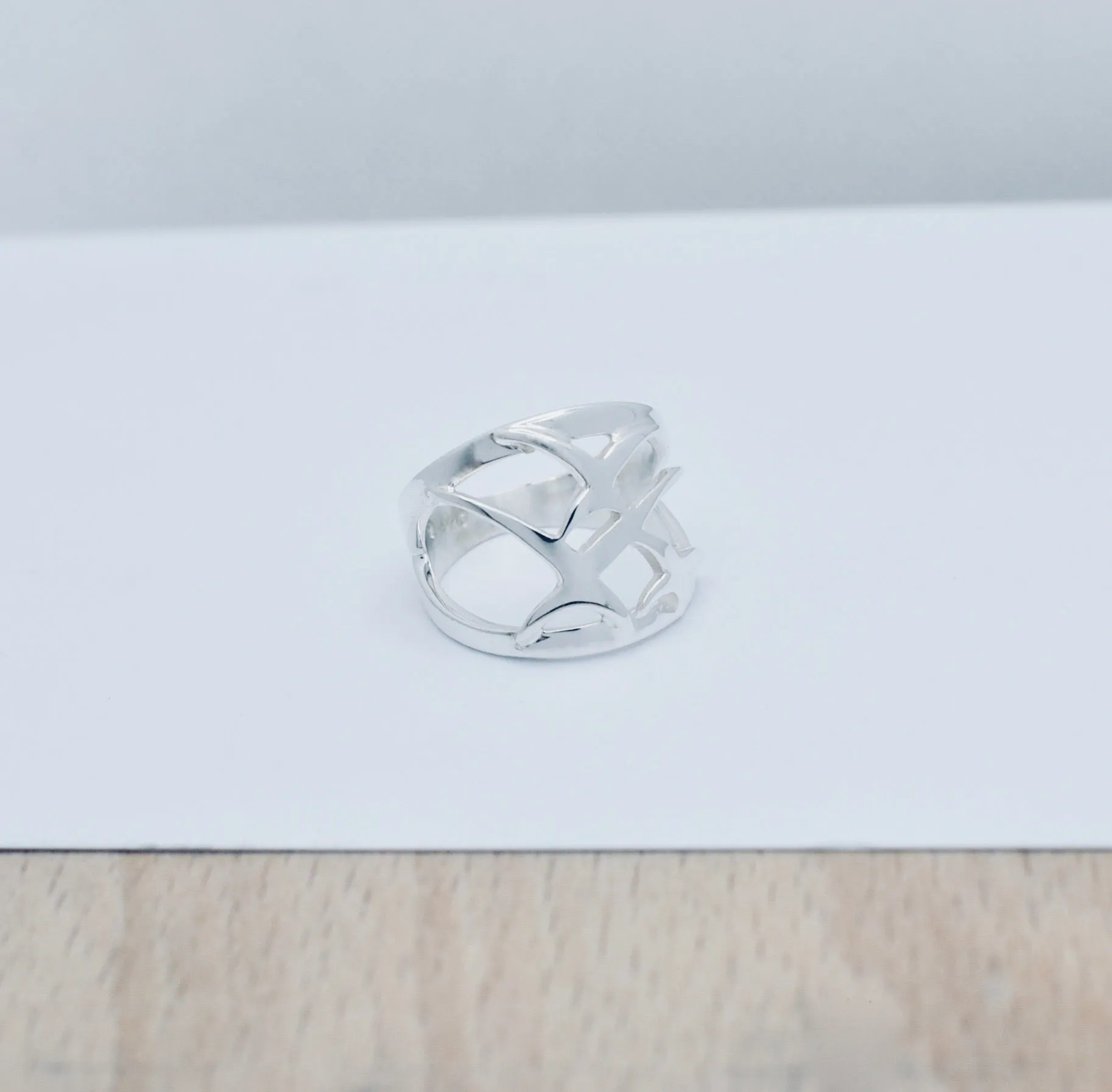 Arctic Tern Large Ring