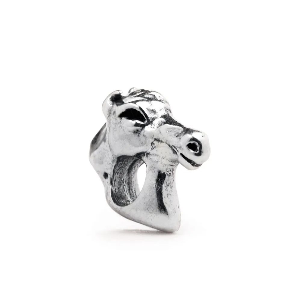 Black Stallion, Silver