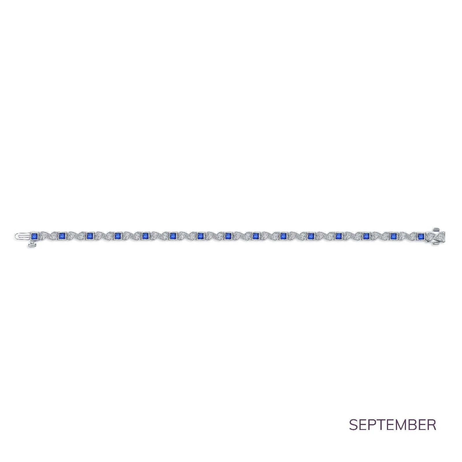 January Birthstone Bracelet HOL24BBG70