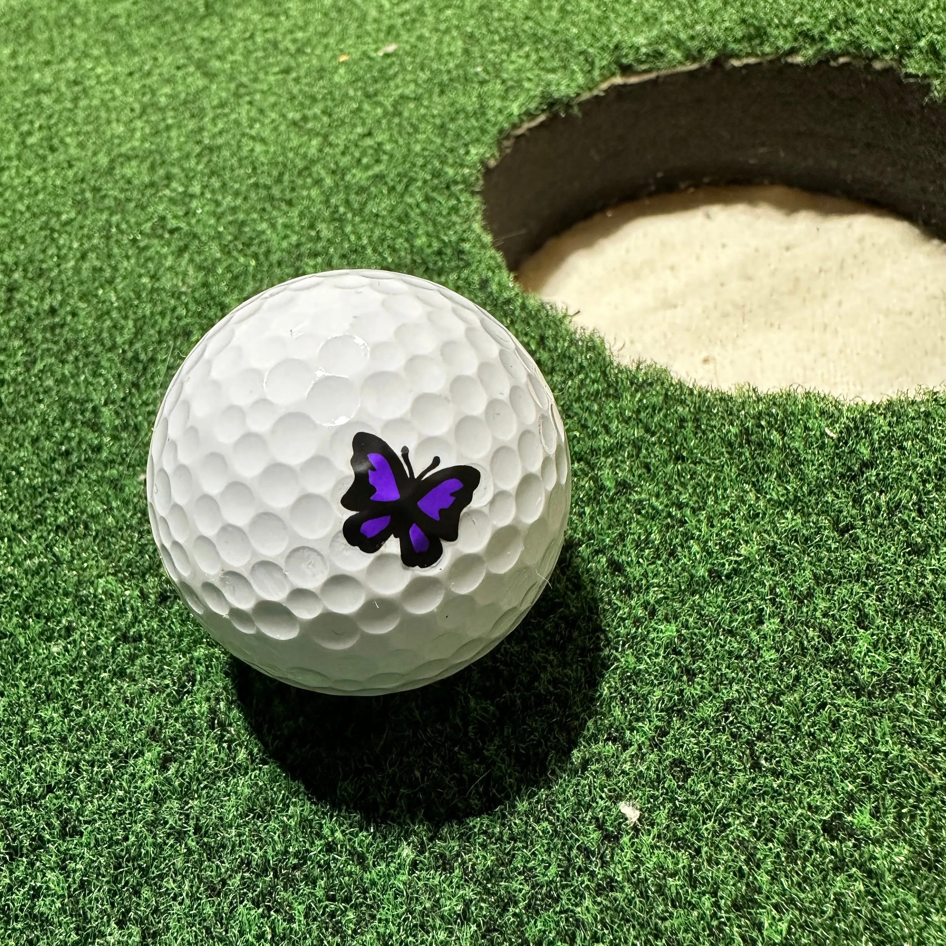 Majestic Butterfly