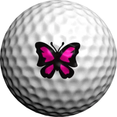 Majestic Butterfly
