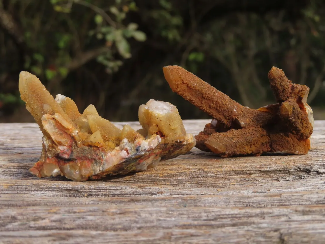 Natural Golden Limonite "Solar" Spirit Quartz Clusters x 24 From Boekenhouthoek, South Africa