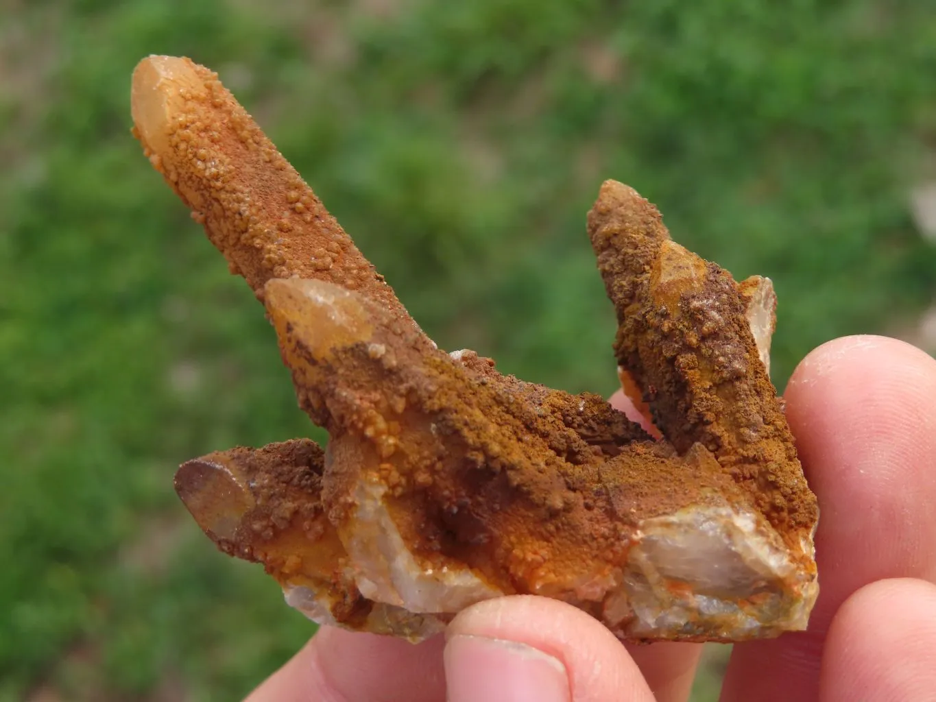 Natural Golden Limonite "Solar" Spirit Quartz Clusters x 24 From Boekenhouthoek, South Africa