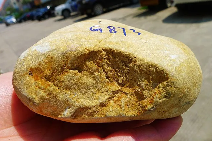 Natural Jade Rough Jadeite Raw (1.14kg,11.6X9.3X6cm)