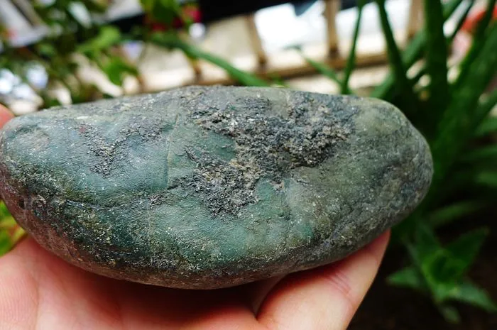 Natural Jade Rough Jadeite Raw (458g,10.5X6.6X4cm)