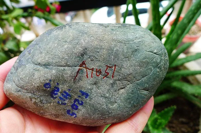 Natural Jade Rough Jadeite Raw (458g,10.5X6.6X4cm)