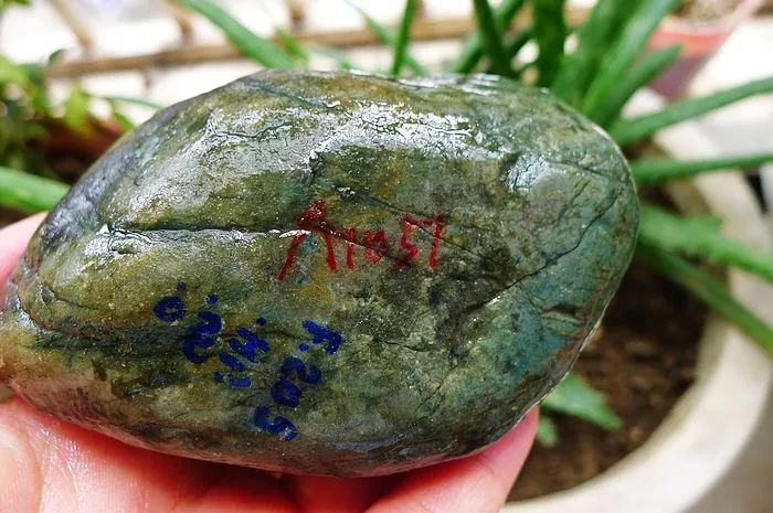 Natural Jade Rough Jadeite Raw (458g,10.5X6.6X4cm)