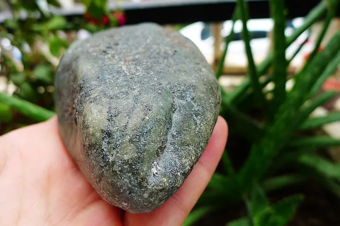 Natural Jade Rough Jadeite Raw (458g,10.5X6.6X4cm)
