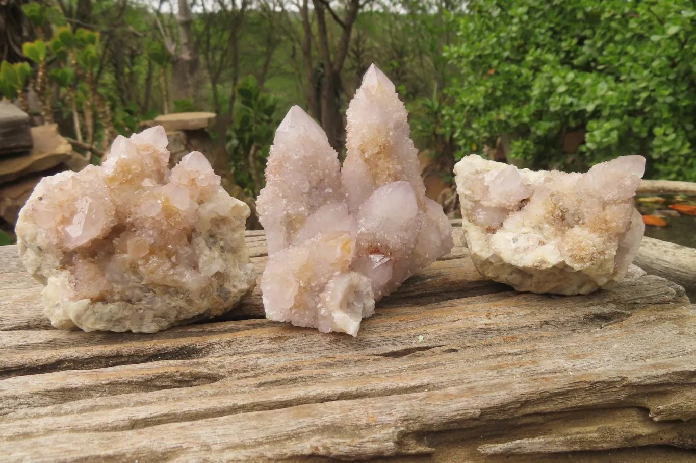 Natural Long Fingered Ametrine Spirit Quartz Clusters x 3 From Boekenhouthoek, South Africa